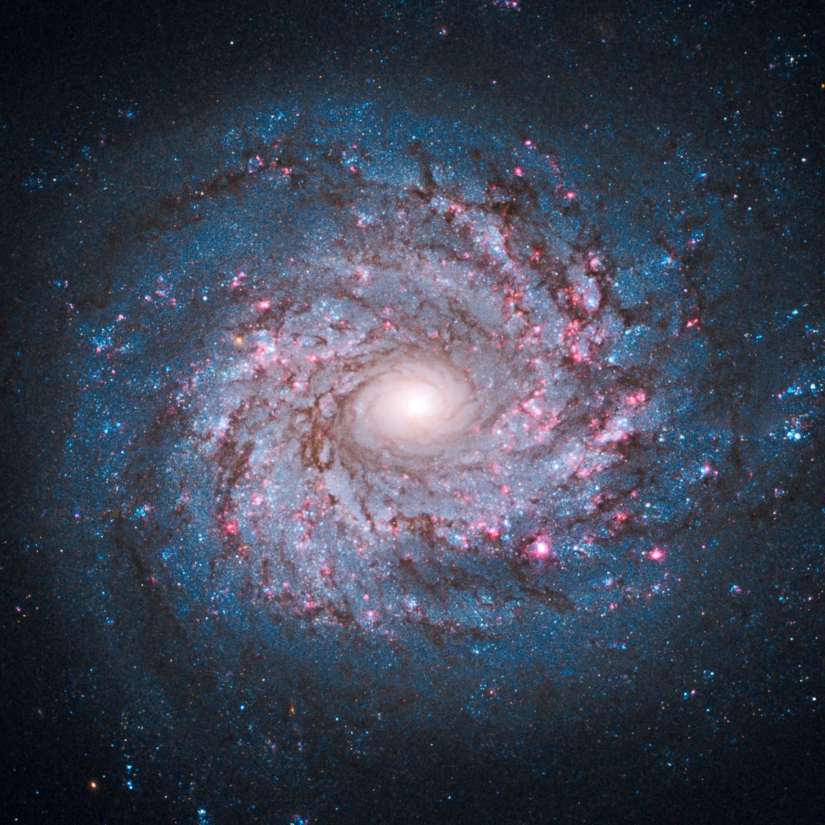 Eternal Stars